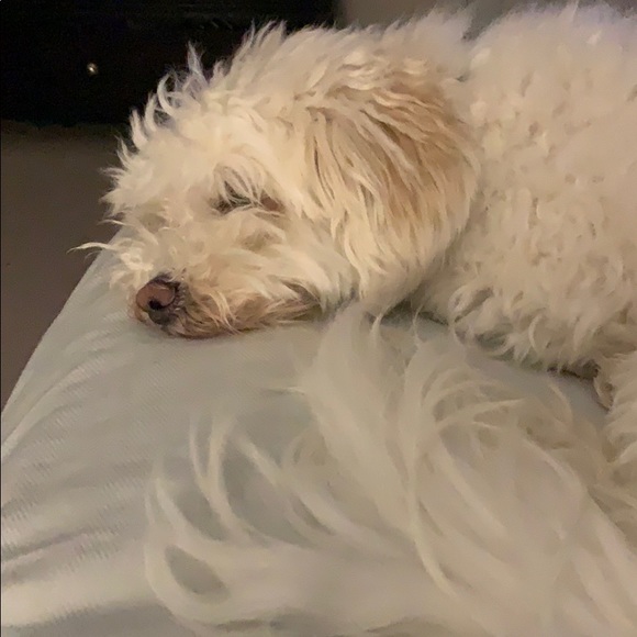 Meet your Posher, Elke - Picture 1 of 1